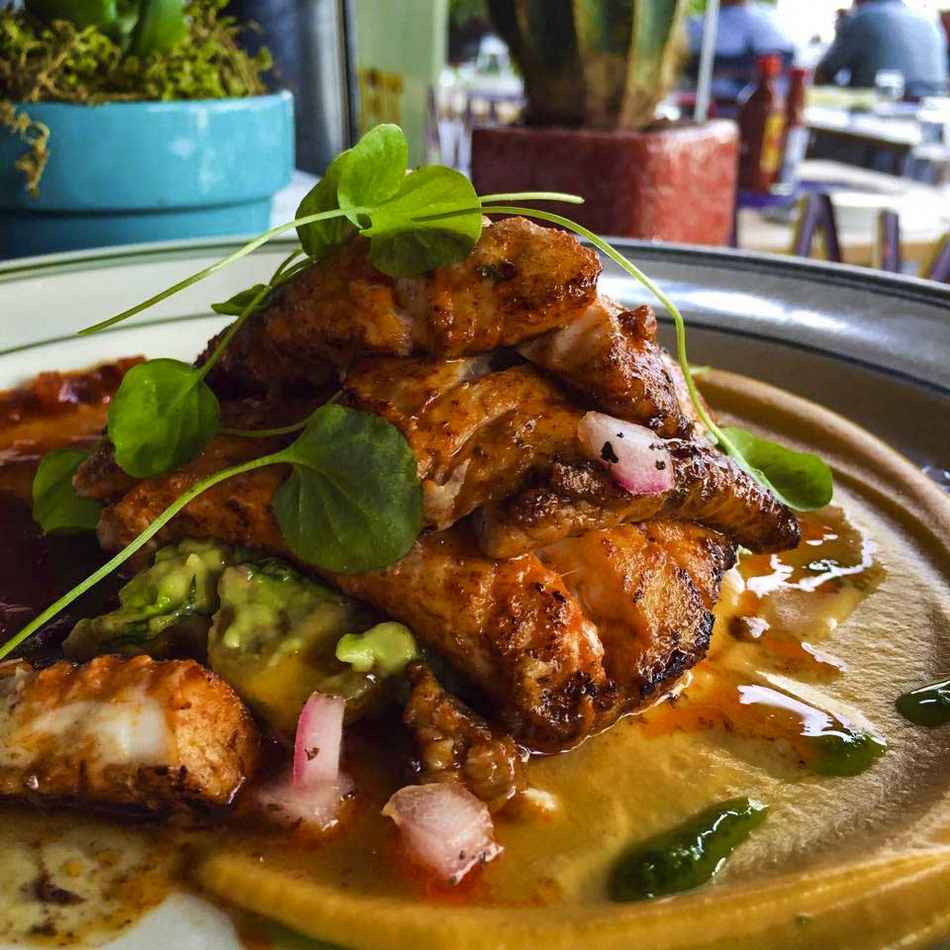 TACUBA CANTINA MEXICANA 3