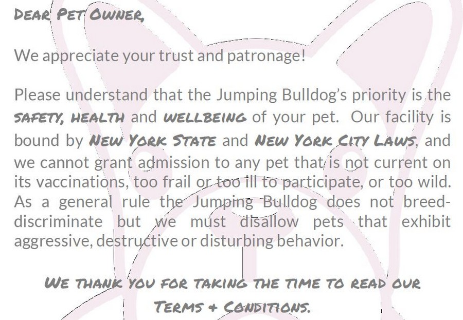 JumpingBulldogDaycareAndBoarding01