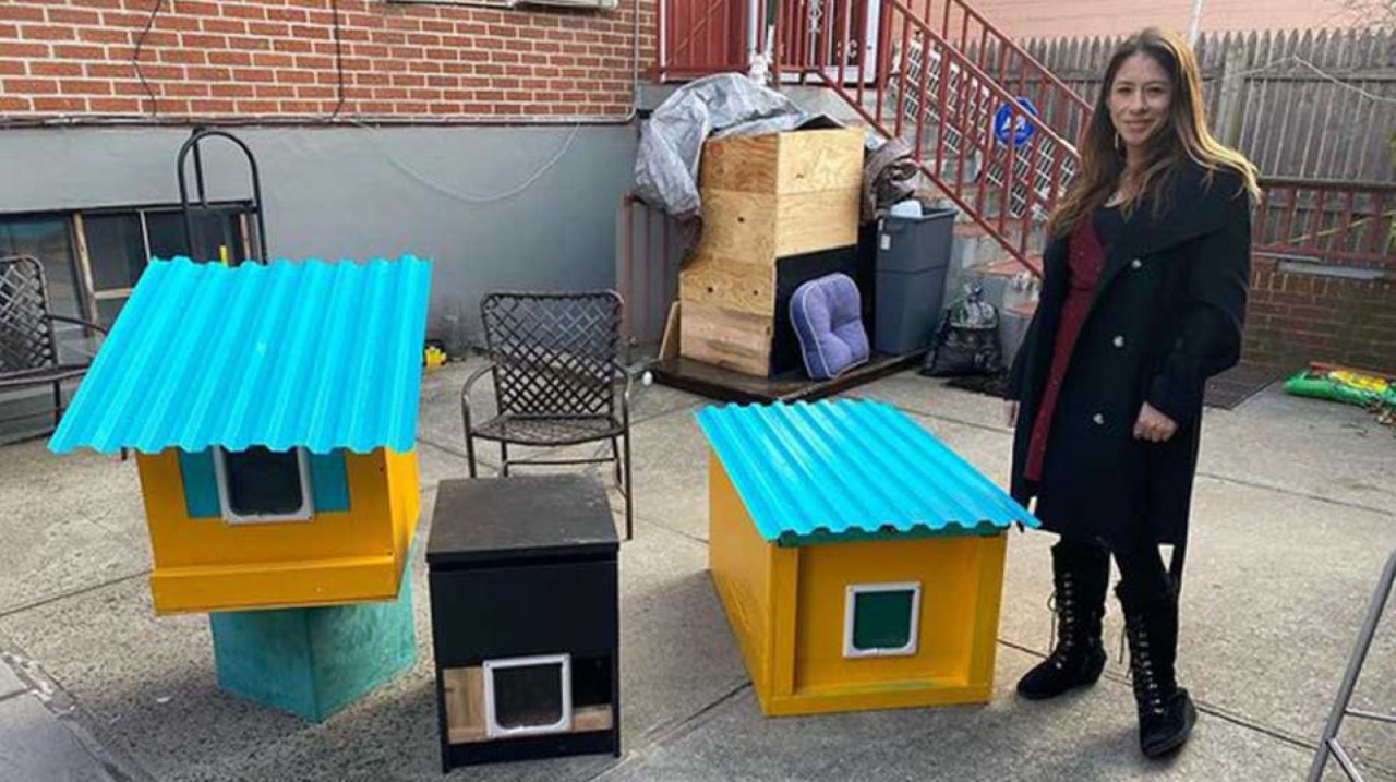 Donation Based Cat Condos by Phil Cappadora