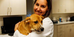 Pure Paws Veterinary Care Share With A Friend $75 Off