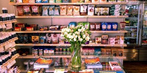 PROJECT EARTH - LONG ISLAND CITY