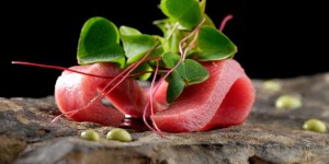 SUGIYAMA - MANHATTAN