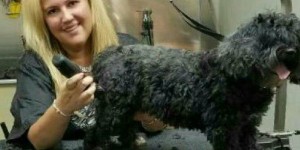 ANGEL&#039;S CARE HOLISTIC PET SPA AND BOUTIQUE - ASTORIA