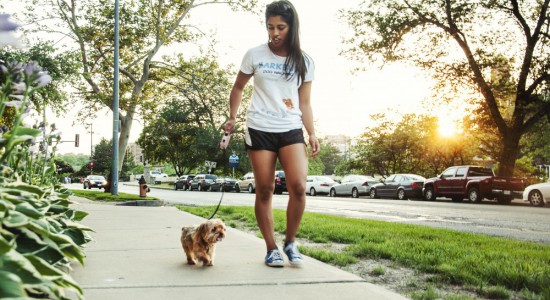 BarkBud Dog Walker