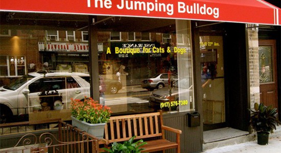The Jumping Bulldog Astoria, NY 11105