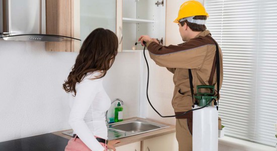 GREEN ECO ENVIRONMENTAL PEST CONTROL - ASTORIA