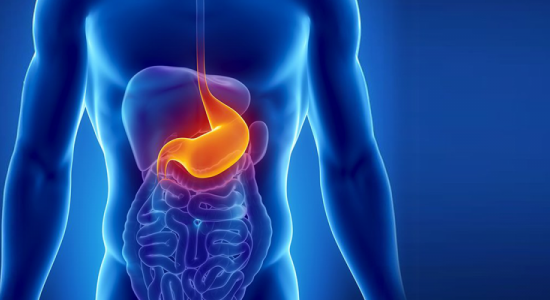 Manhattan Gastroenterology Manhattan East Side, NY 10028