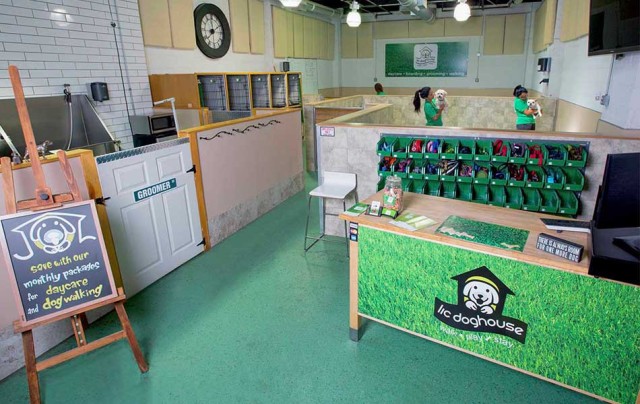 LIC DOGHOUSE - LIC LIC DOGHOUSE - LIC