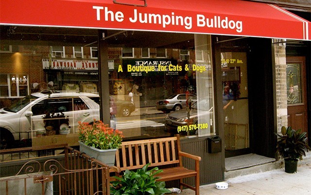 The Jumping Bulldog Astoria, NY 11105