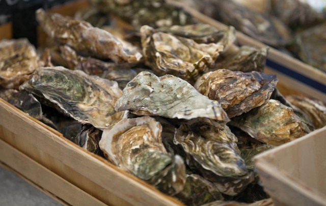 Mayfield Happy Hour Oysters $1