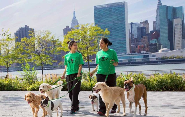LIC DOGHOUSE - LIC LIC DOGHOUSE - LIC