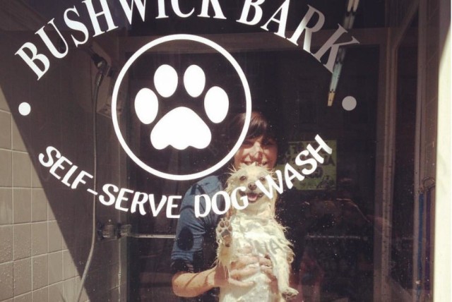 Bushwick Bark Self-Serving Dog Wash $14