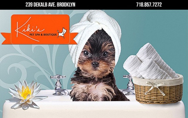 Kiki's Pet Spa Brooklyn, NY 11205